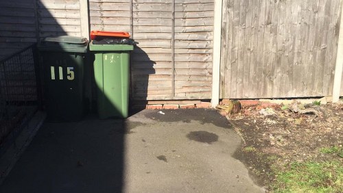 Sustainable waste removal practices for local businesses